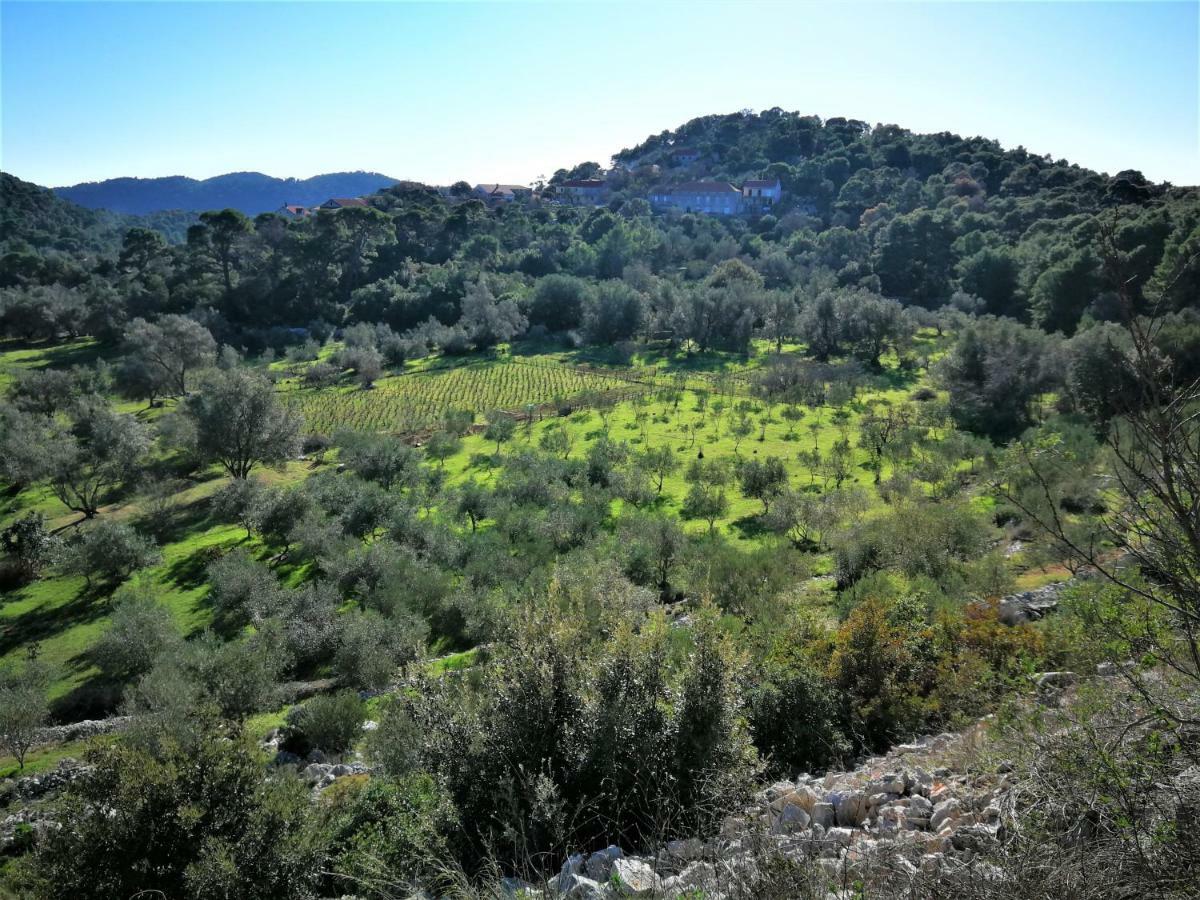 Agriculture & Holiday House Lasko Govedari Bagian luar foto